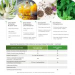 WELLBEING DETOX Suplement diety Raypath