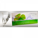 Zestaw Animals Domowy Raypath